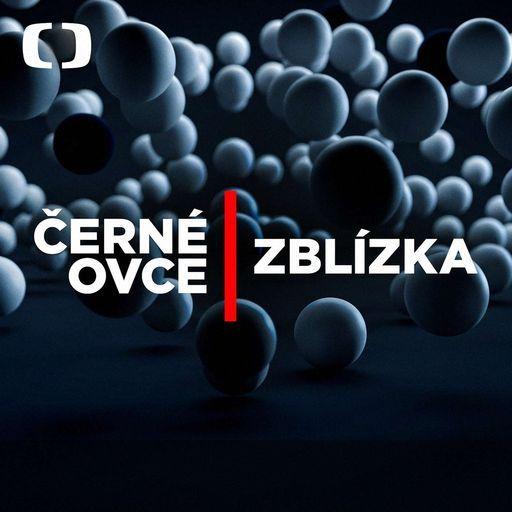 Černé ovce zblízka