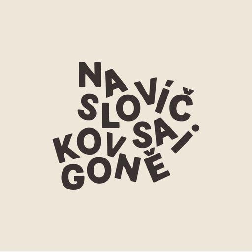 Na slovíčko v Saigoně