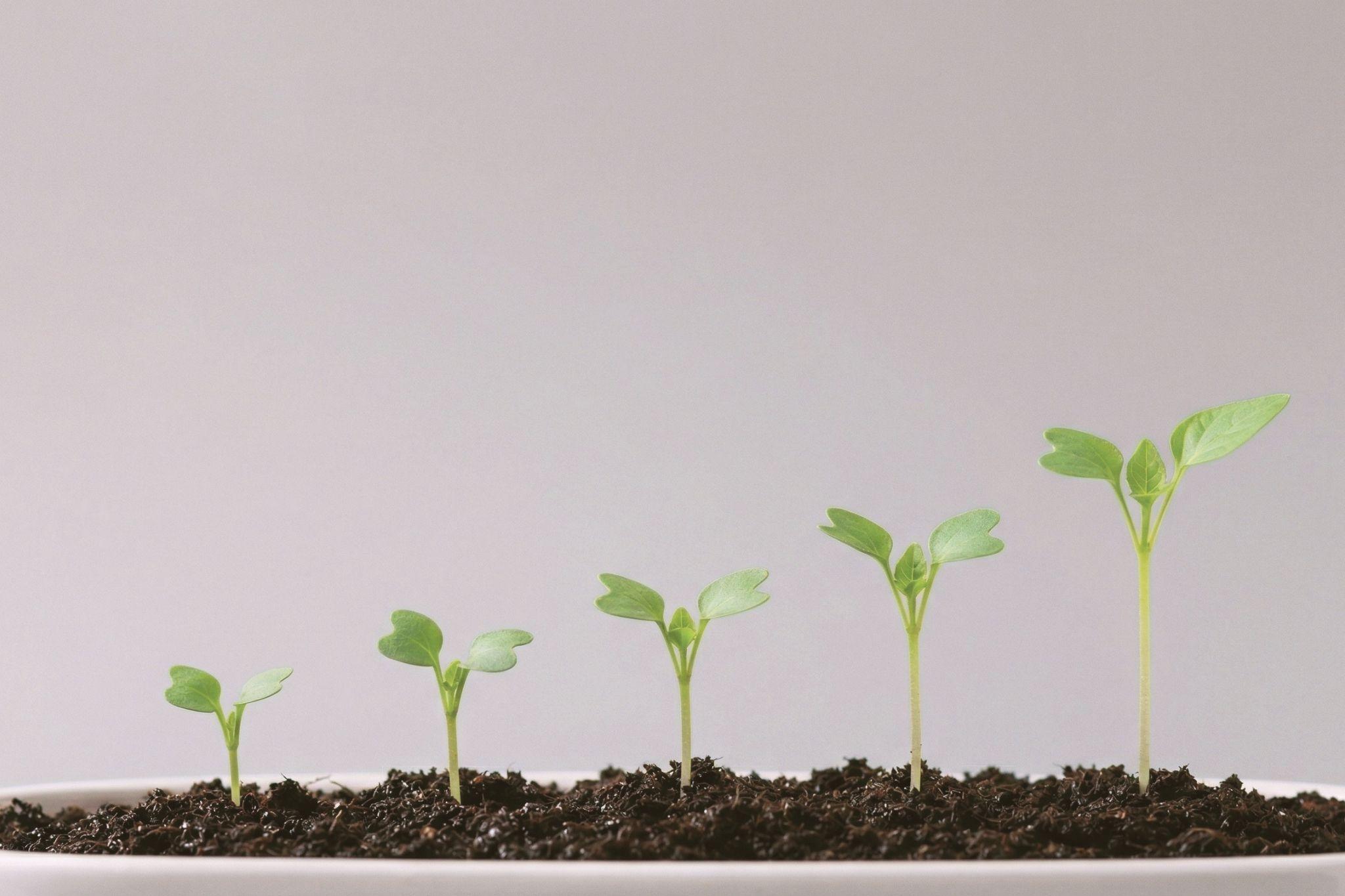 Každý vydavatel v plusu. Březnová čísla mluví jasně.