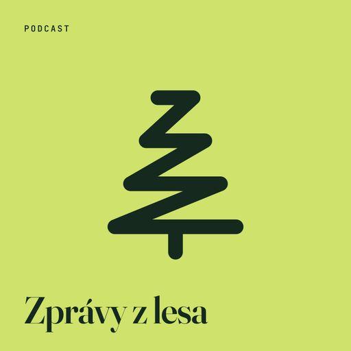 Zprávy z lesa