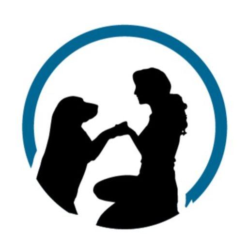 10 Komunikace Se Psem Online Ps kola S Martinem Zounarem 10 Komunikace Se Psem Online Ps kola S Martinem Zounarem